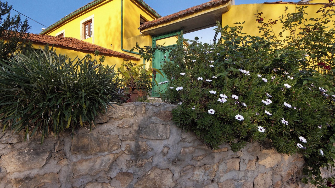 Photo of Outdoor in Coimbra