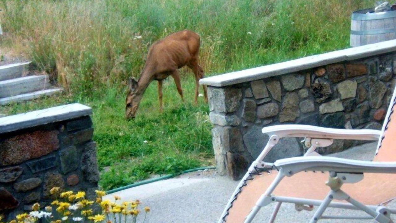 Photo of Others in Okanagan-Similkameen