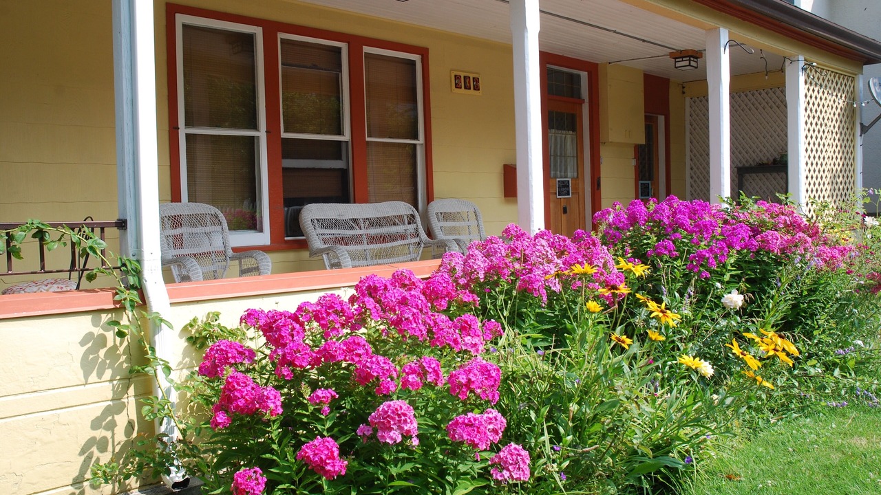 Photo of Patio Balcony in Nelson