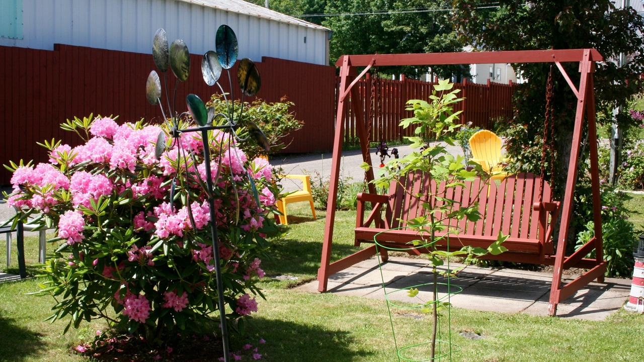 Photo of Outdoor in Digby