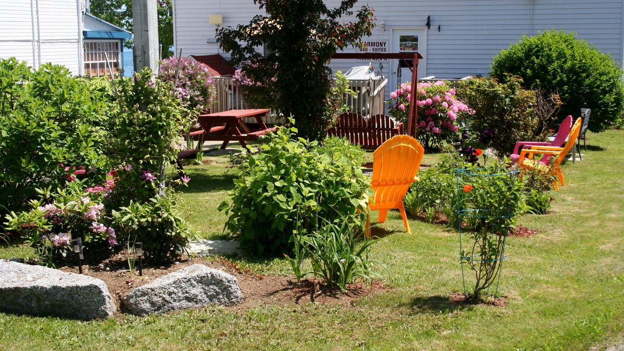 Photo of Outdoor in Digby