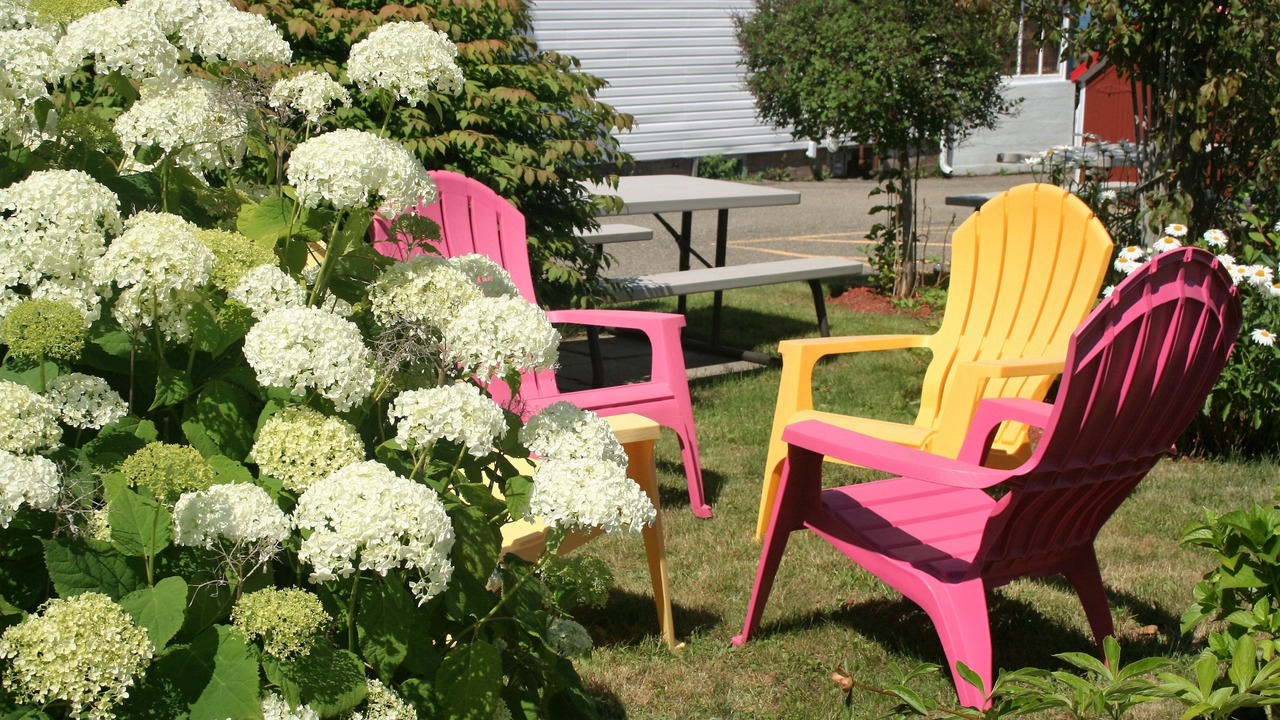 Photo of Others in Digby