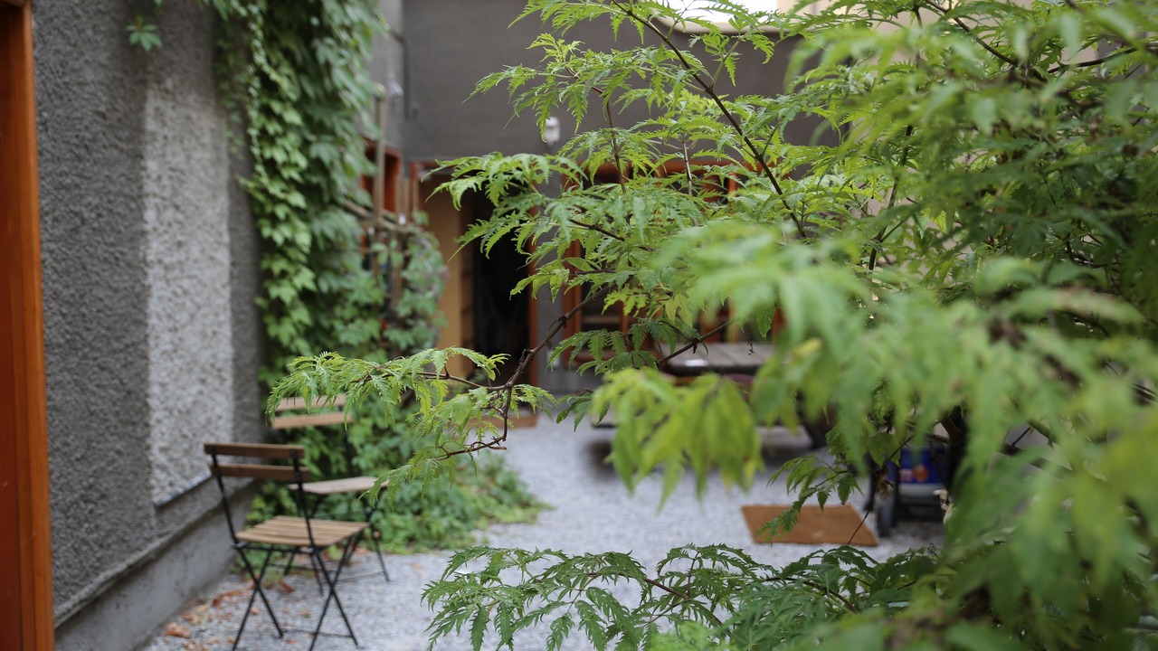 Photo of Outdoor in Nelson