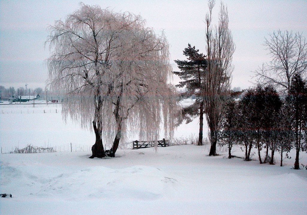Photo of Outdoor in North Dundas