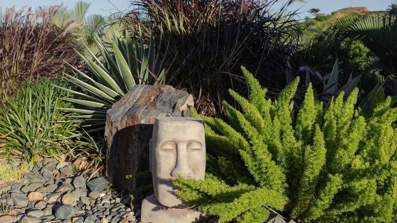 Photo of Outdoor in Rincon