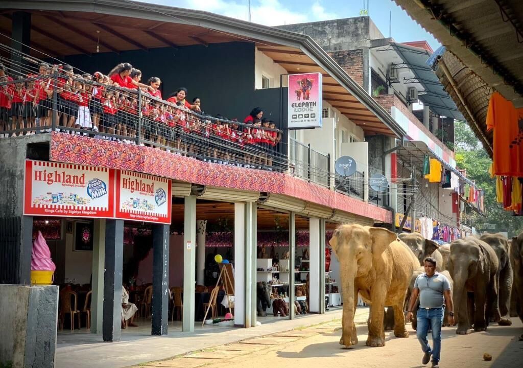 Photo of Outdoor in Pinnawala