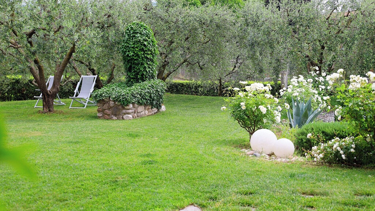 Photo of Outdoor in Affi