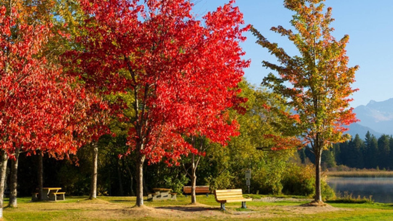 Photo of Outdoor in Nordic Estates