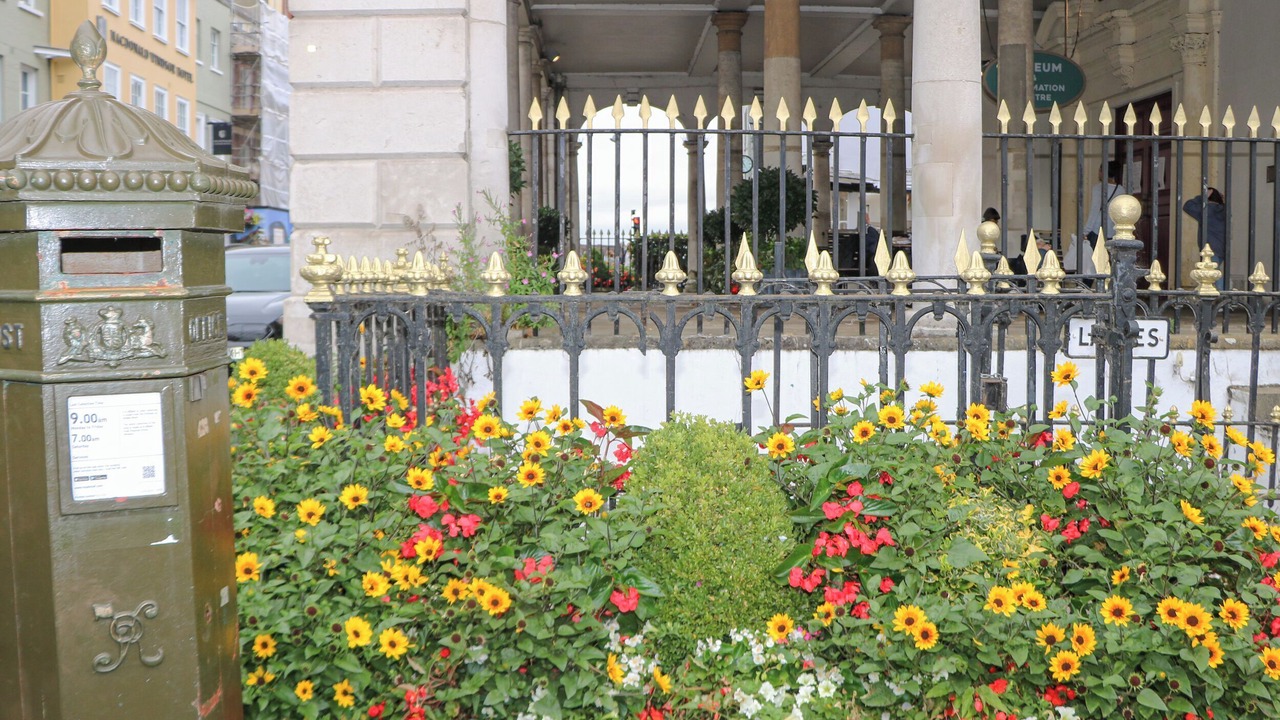 Photo of Outdoor in Windsor