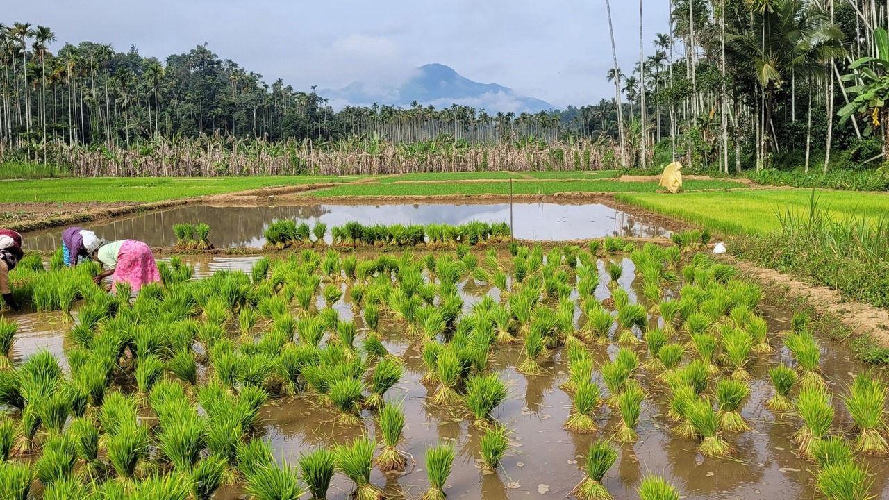 Photo of Outdoor in Vayittiri