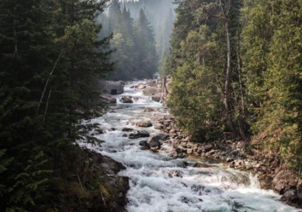 Photo of Outdoor in Kaslo