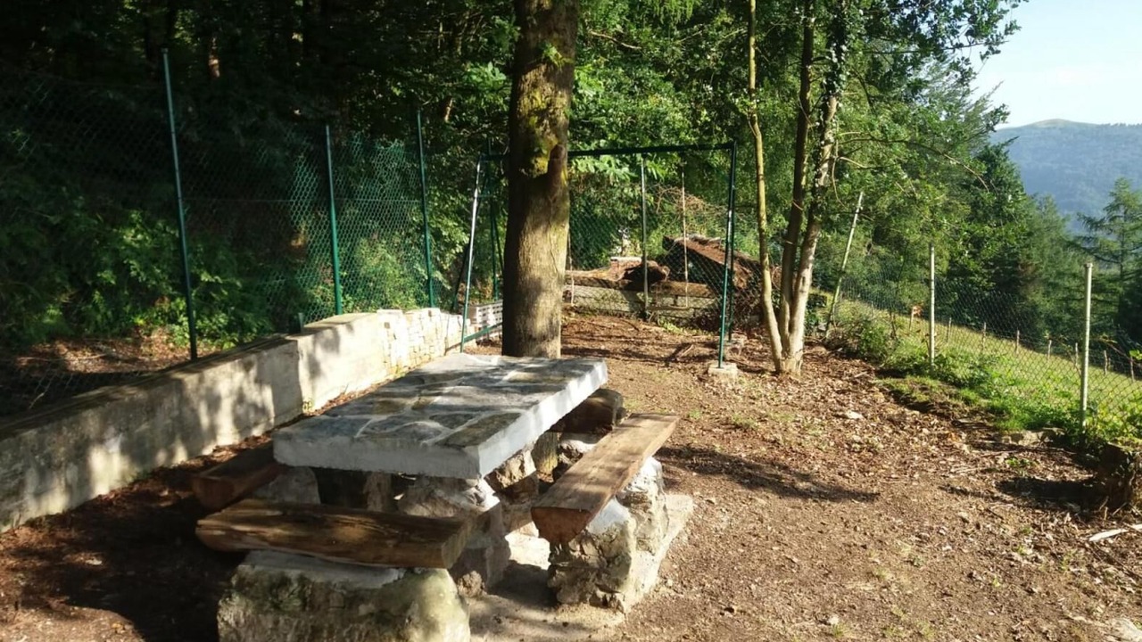 Photo of Outdoor in Larraul