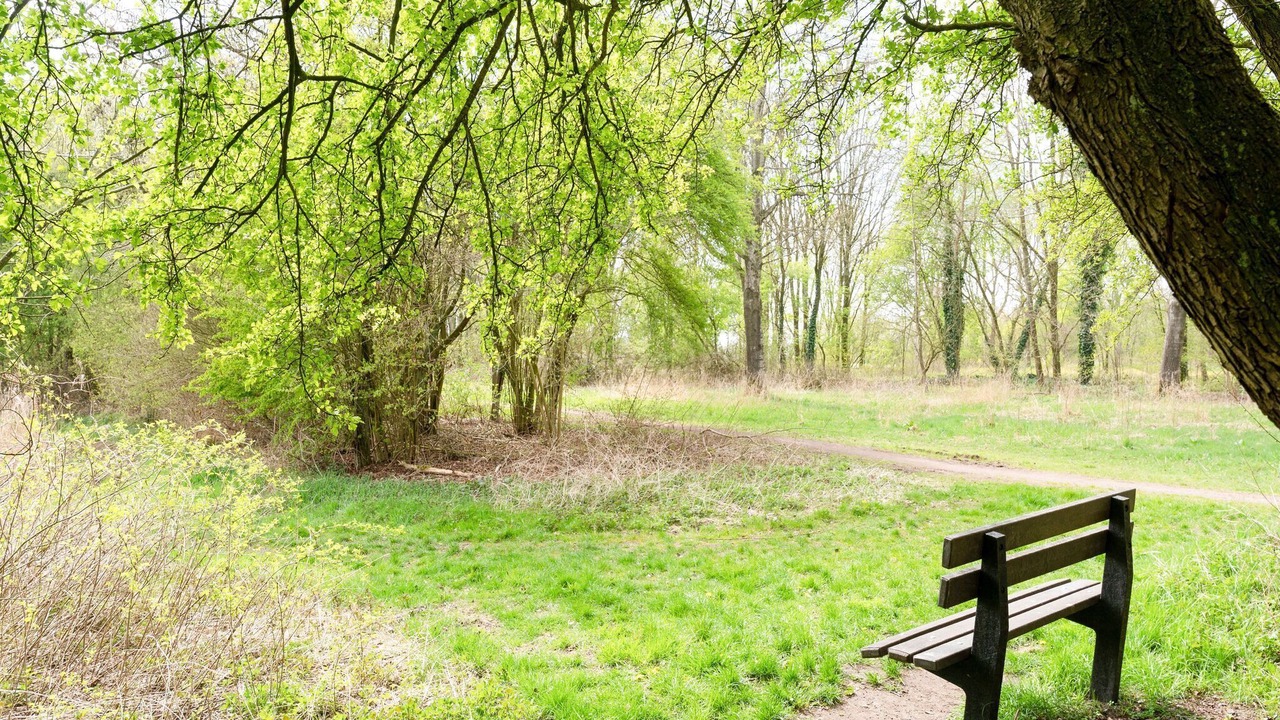 Photo of Outdoor in Elim