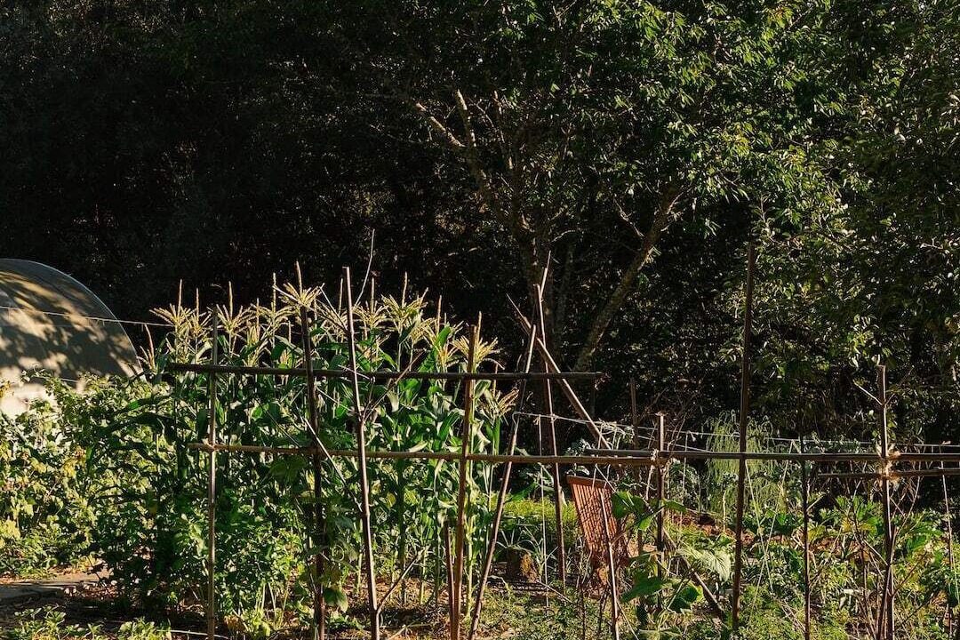 Photo of Outdoor in Bico