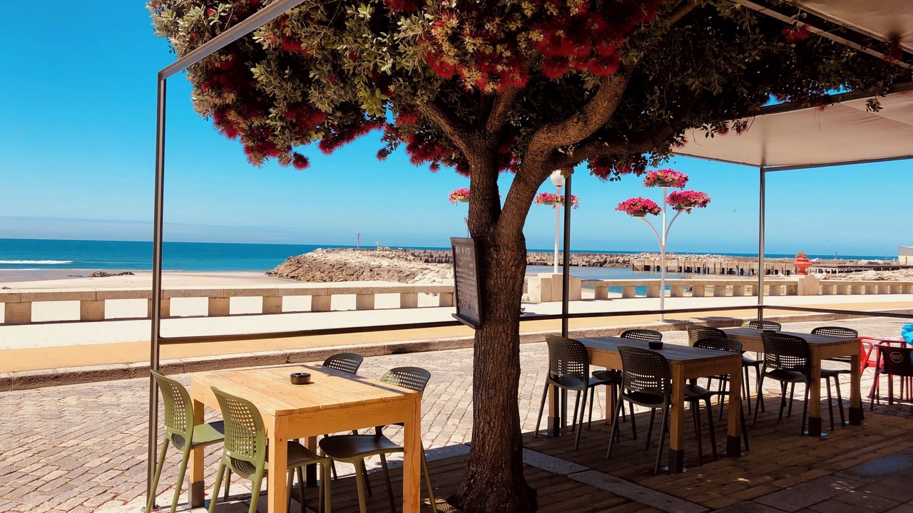 Photo of Others in Vila Praia de Ancora