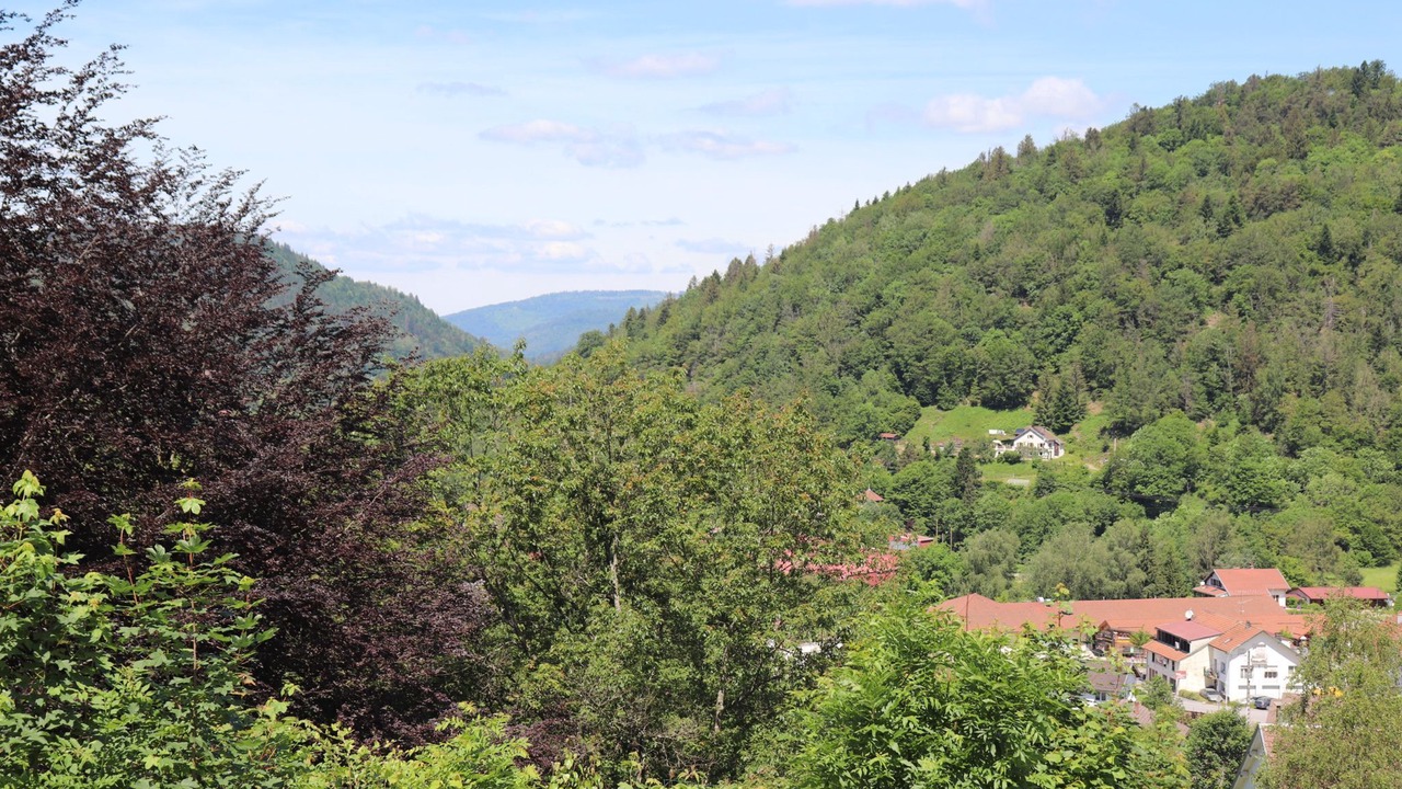 Photo of Others in Saint-Maurice-sur-Moselle