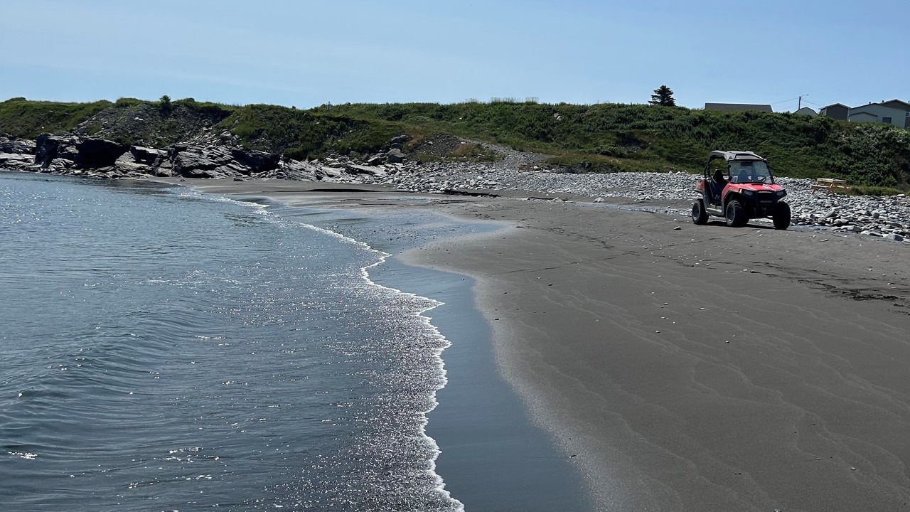 Photo of Others in Western Bay