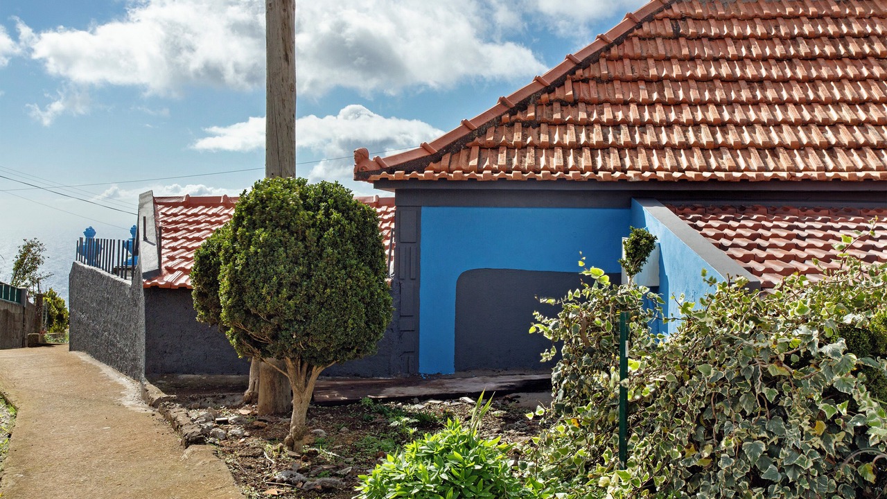 Photo of Outdoor in Faja da Ovelha