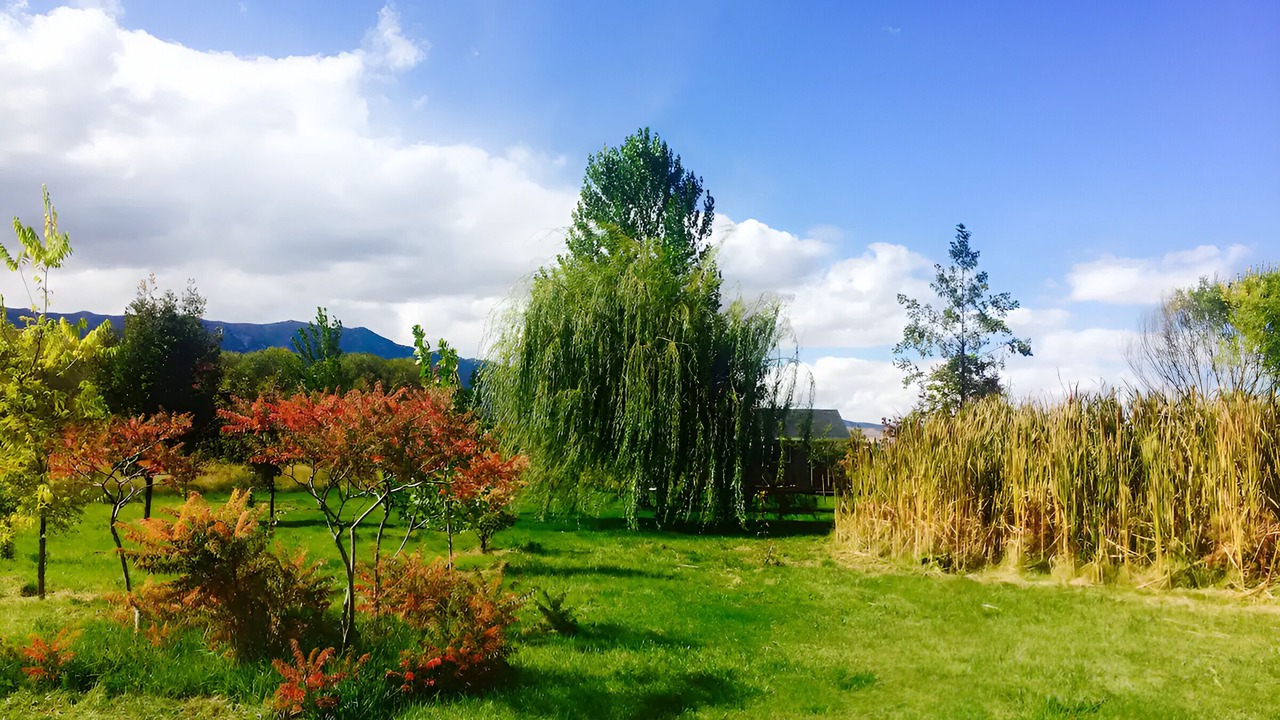 Photo of Outdoor in Logan