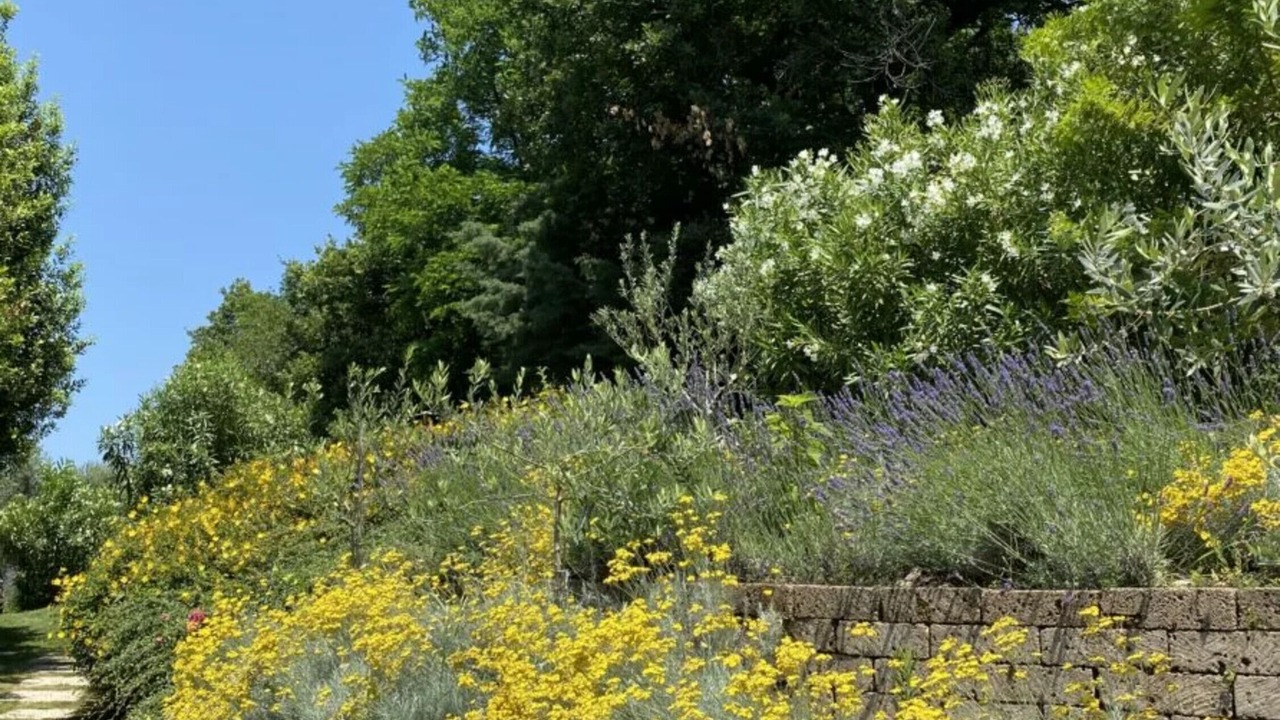 Photo of Outdoor in Affi
