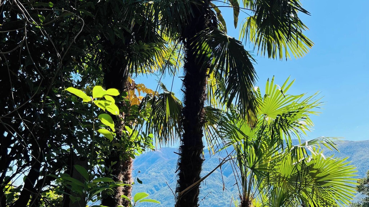 Photo of Others in Brissago