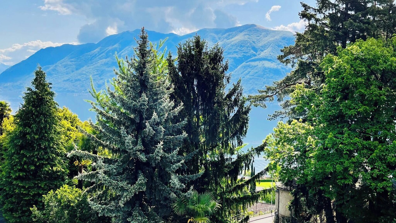 Photo of Others in Brissago