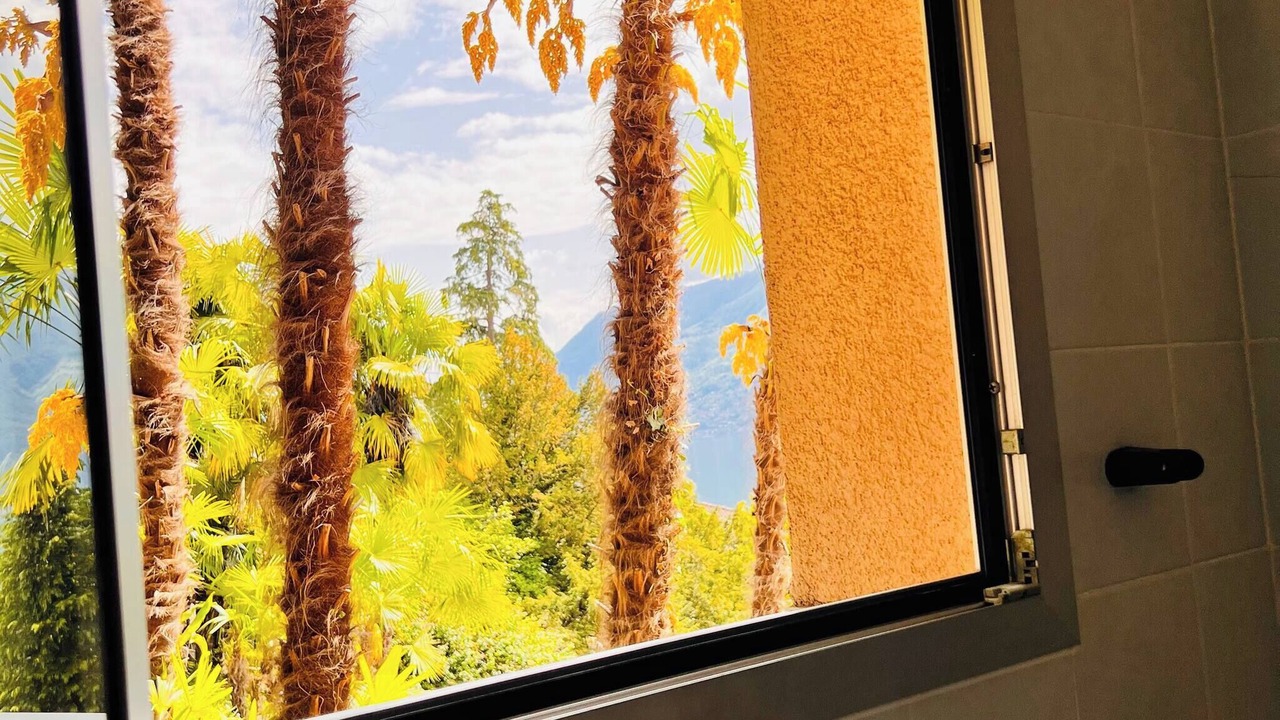 Photo of Others in Brissago