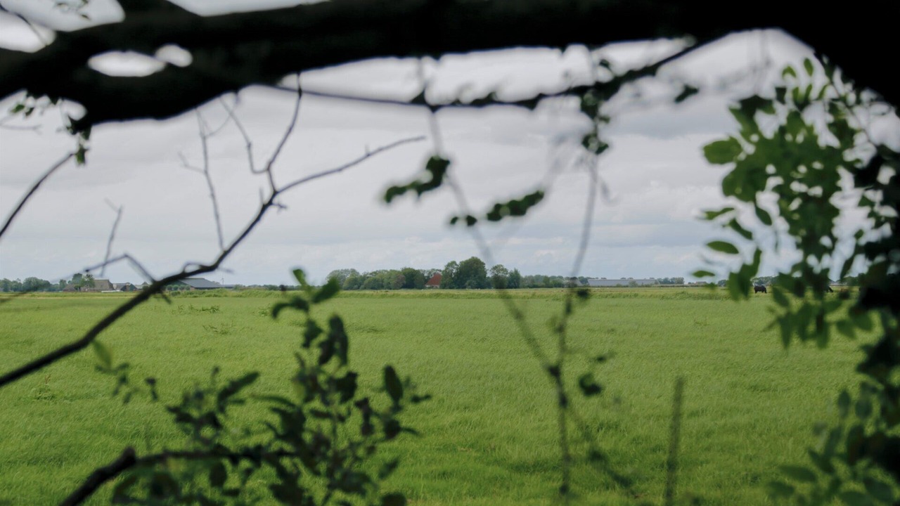 Photo of Outdoor in Bornwird