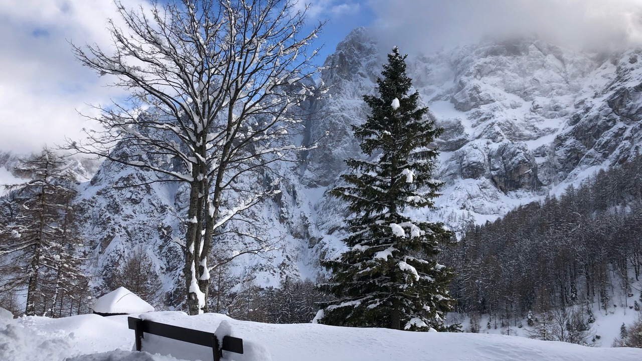 Photo of Outdoor in Kranjska Gora