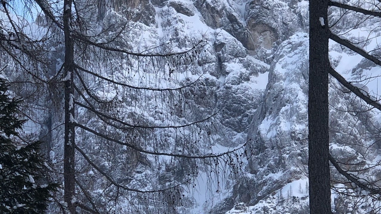 Photo of Outdoor in Kranjska Gora