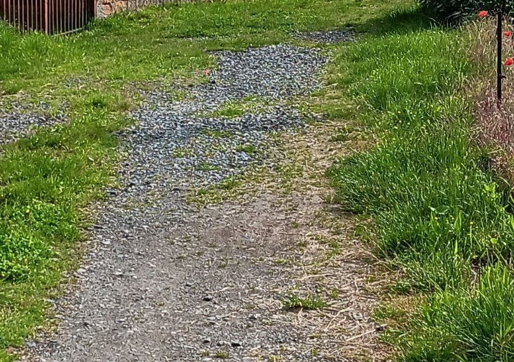 Photo of Outdoor in Morance