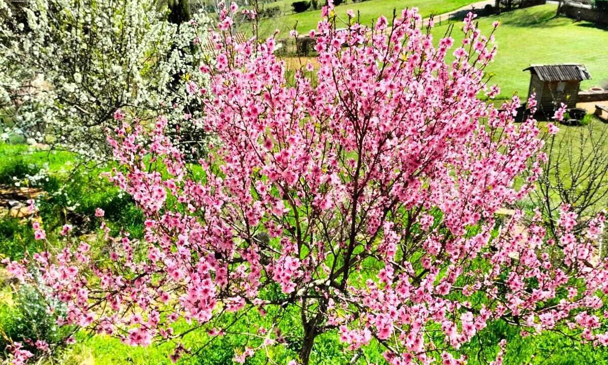 Photo of Outdoor in Morance