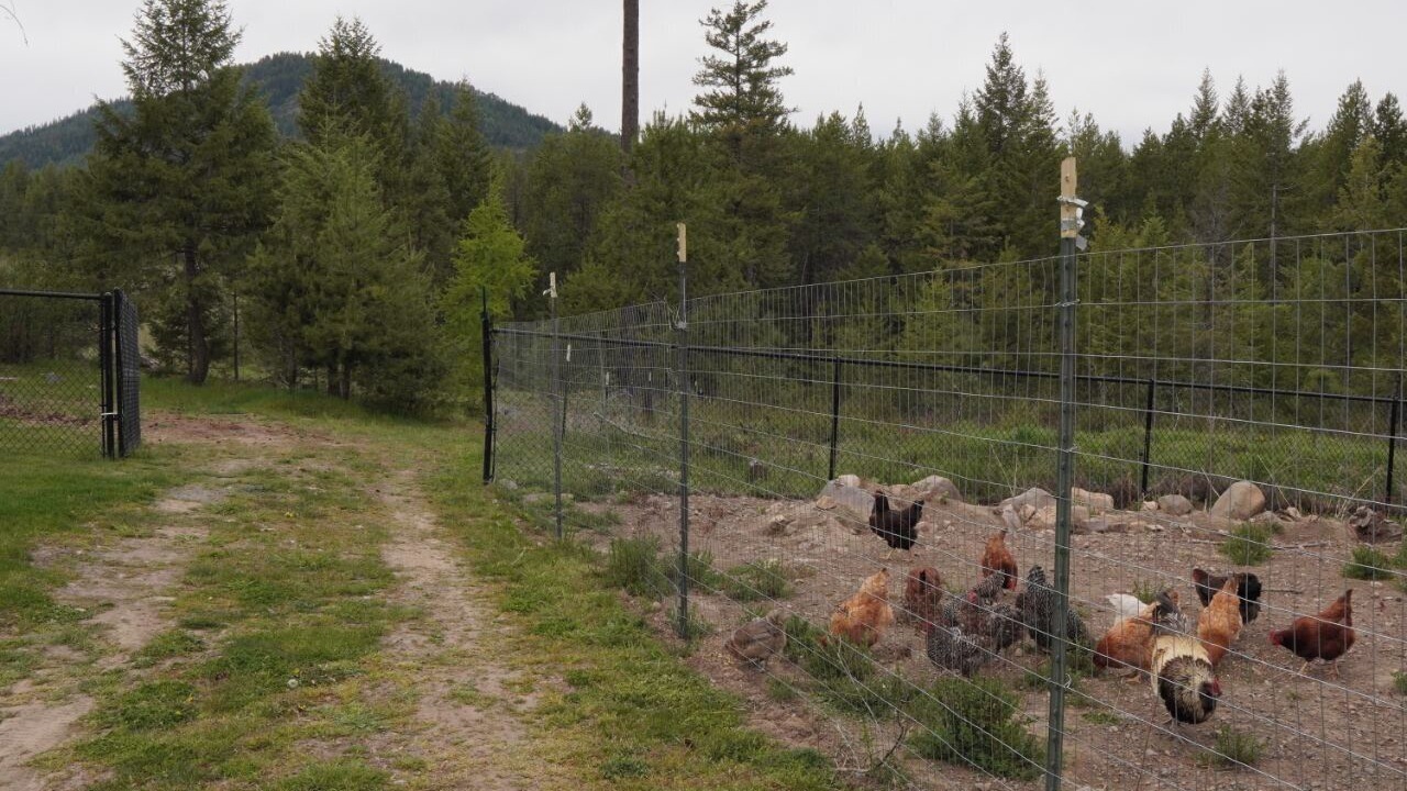 Photo of Outdoor in Loon Lake