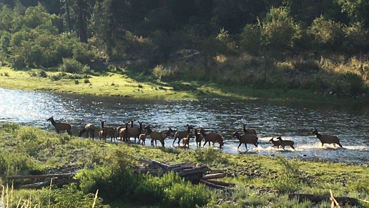 Photo of Outdoor in Stites
