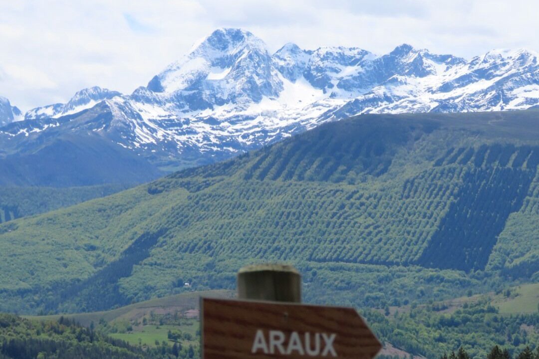 Photo of Outdoor in Soulan