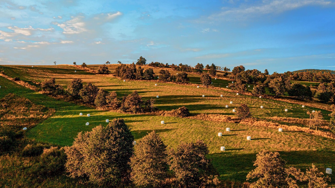 Photo of Others in Sierpnica