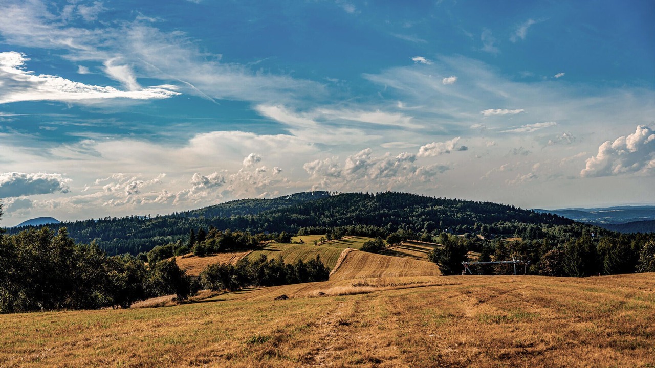 Photo of Others in Sierpnica