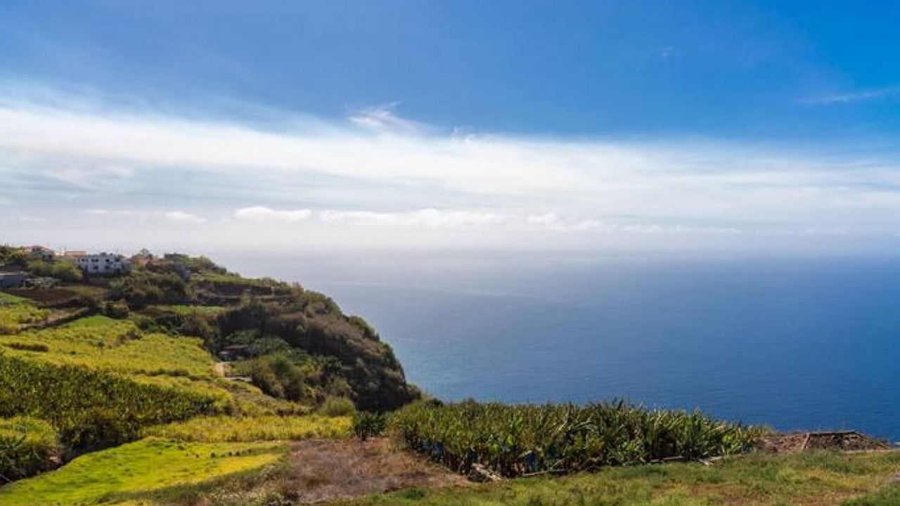 Photo of Others in Ponta do Sol