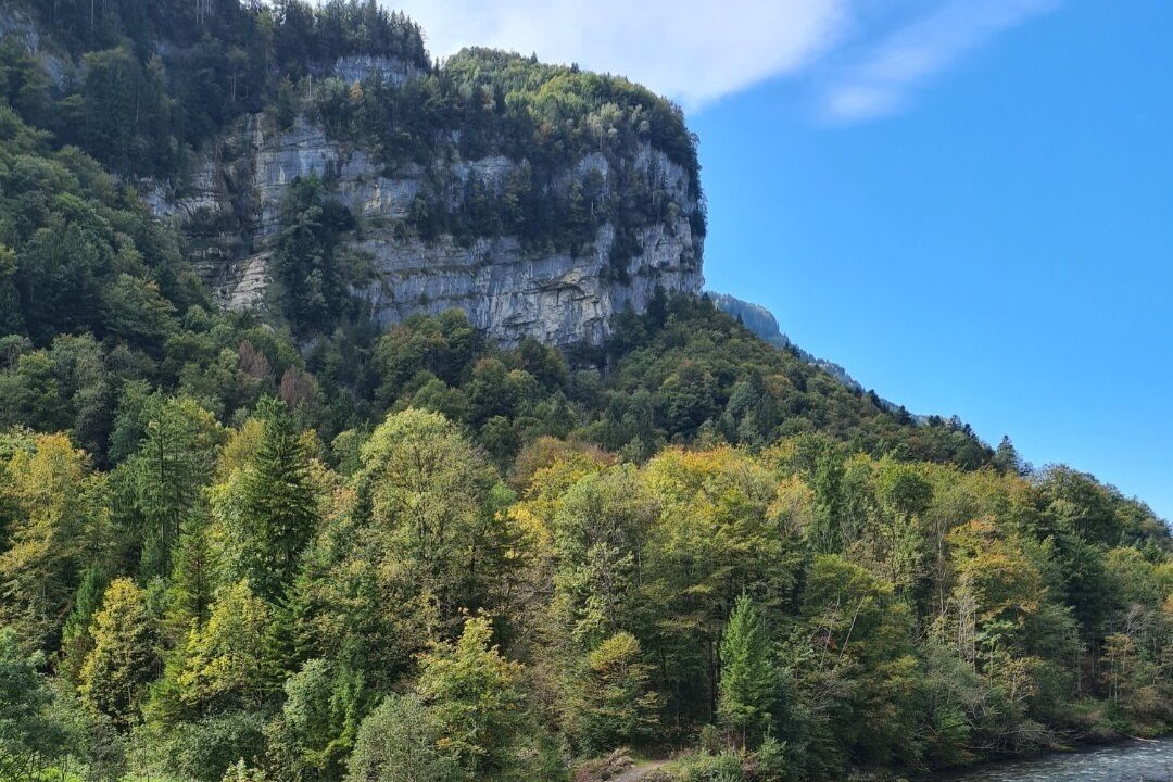 Photo of Others in Saint Georgen Ot Brigach