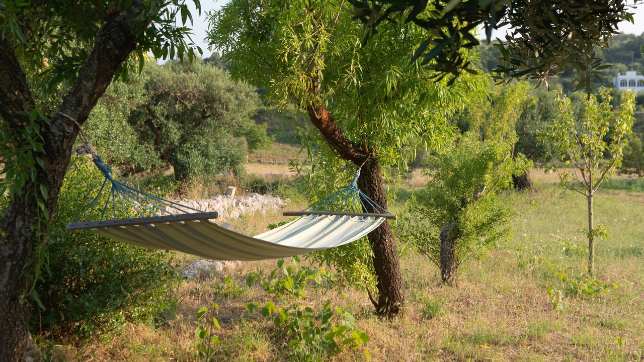 Photo of Outdoor in Old Town Cisternino