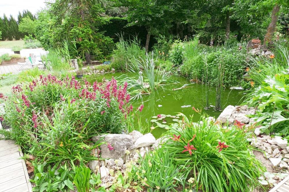 Photo of Outdoor in Feings