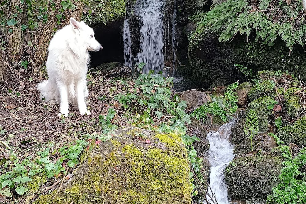 Photo of Outdoor in Tarouca