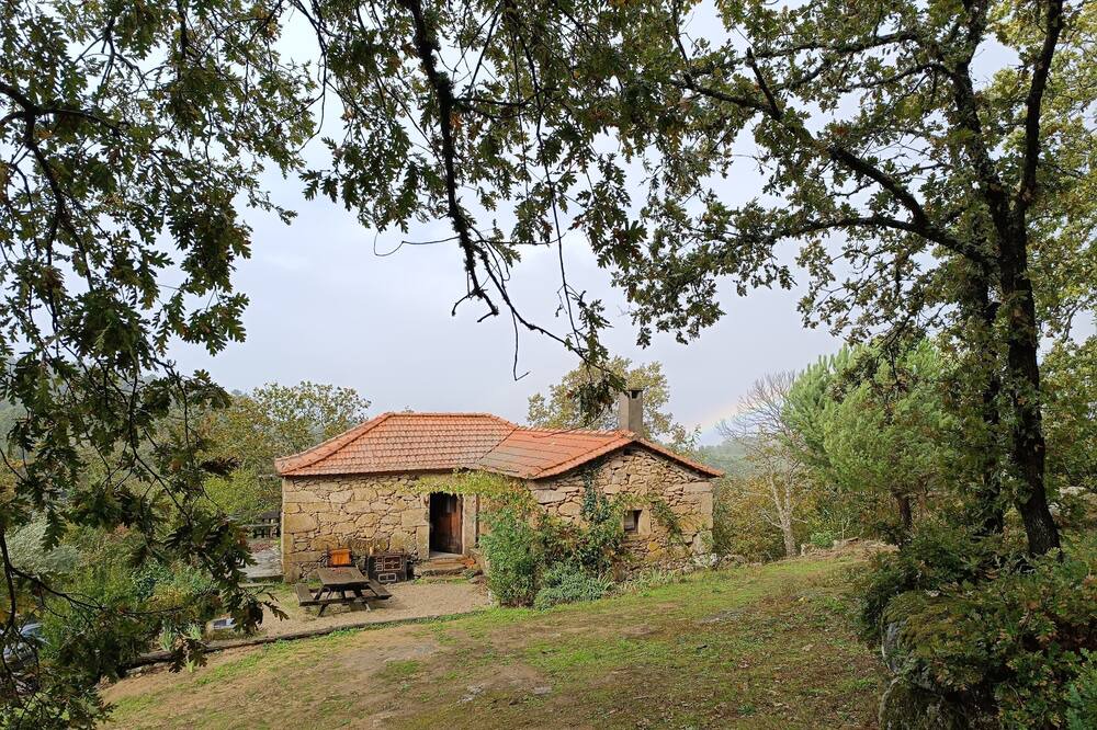 Photo of Outdoor in Tarouca