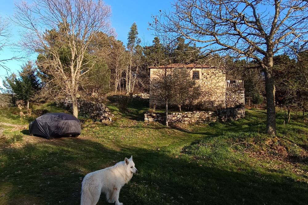 Photo of Outdoor in Tarouca