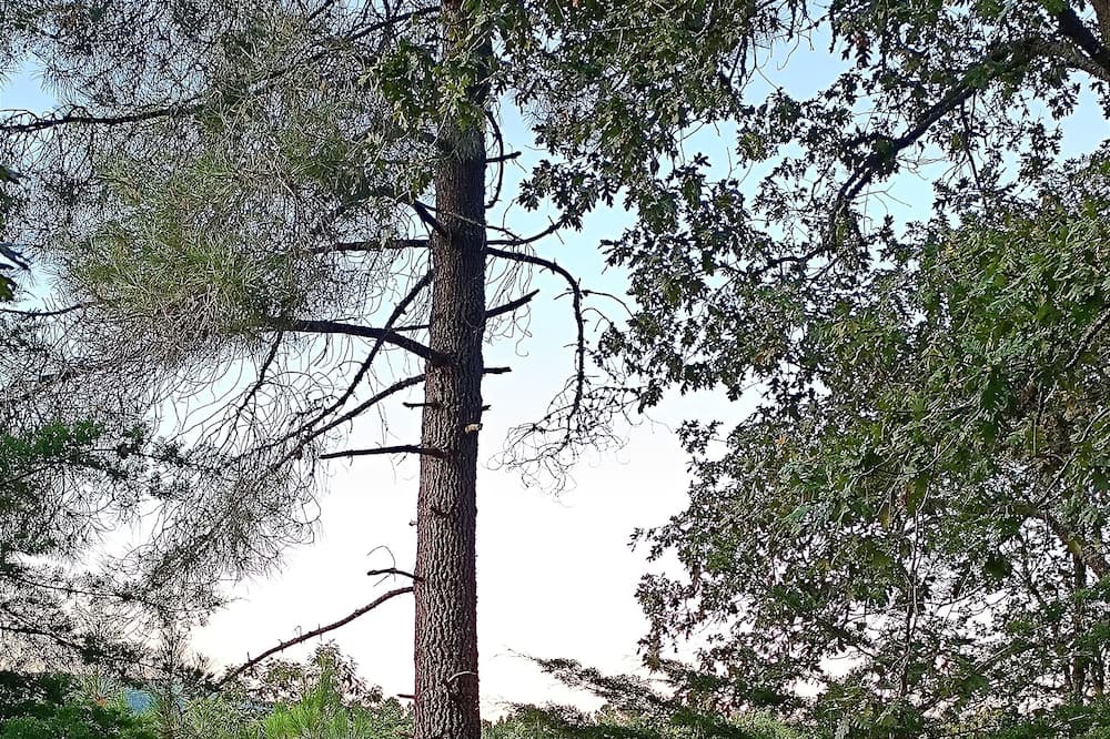 Photo of Others in Tarouca