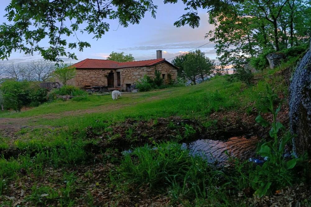 Photo of Outdoor in Tarouca