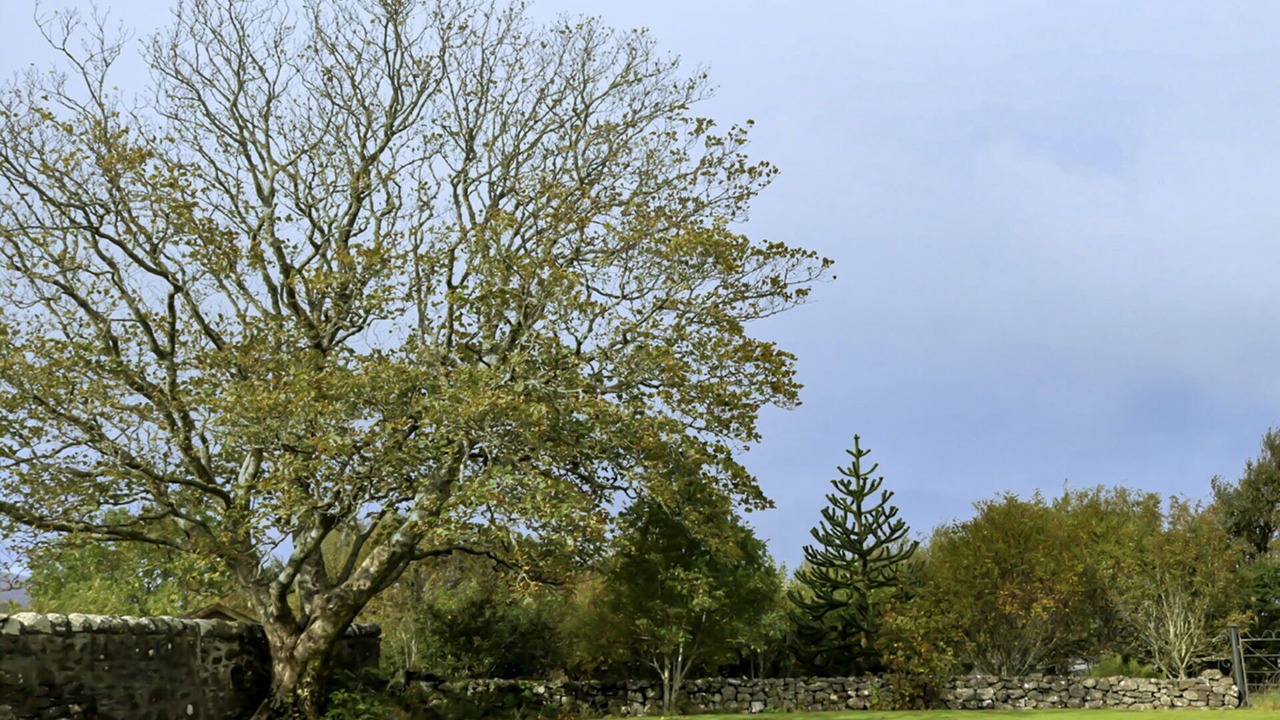 Photo of Others in Dunvegan
