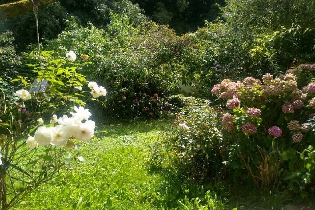 Photo of Outdoor in Knielingen