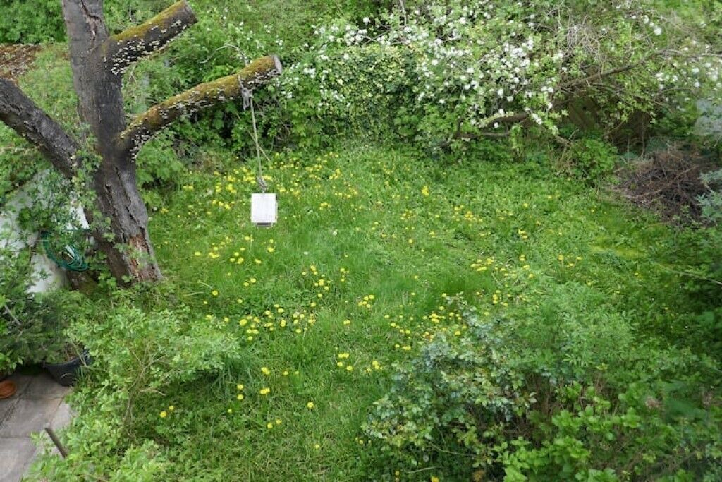Photo of Outdoor in Knielingen