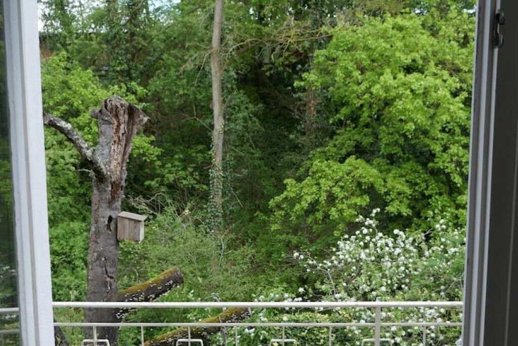 Photo of Outdoor in Knielingen